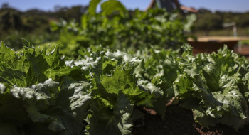 Acordo garante terras a 3 mil famílias em assentamentos no Paraná