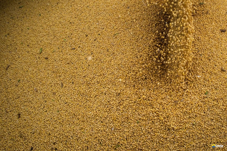 Agro cresce 11,7%, impulsiona PIB e ganha participação na economia