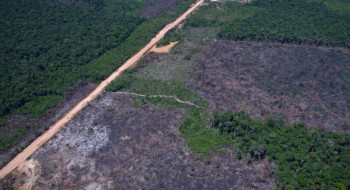 Alertas de desmatamento caem 35% na Amazônia e 6% no Cerrado