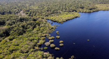 Amazônia e Cerrado registram queda de 11% no desmatamento