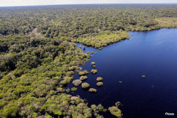 Amazônia e Cerrado registram queda de 11% no desmatamento