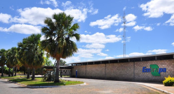 Aplicativo gratuito da Embrapa ajuda a planejar barragens no semiárido