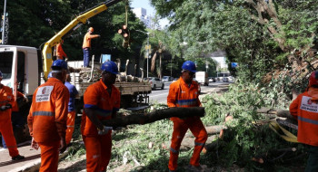 Após ventania, São Paulo tem 1,5 milhão de clientes sem energia