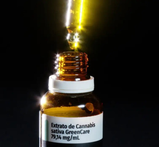 Autorizações para importação de cannabis aumentam 29% em 2026
