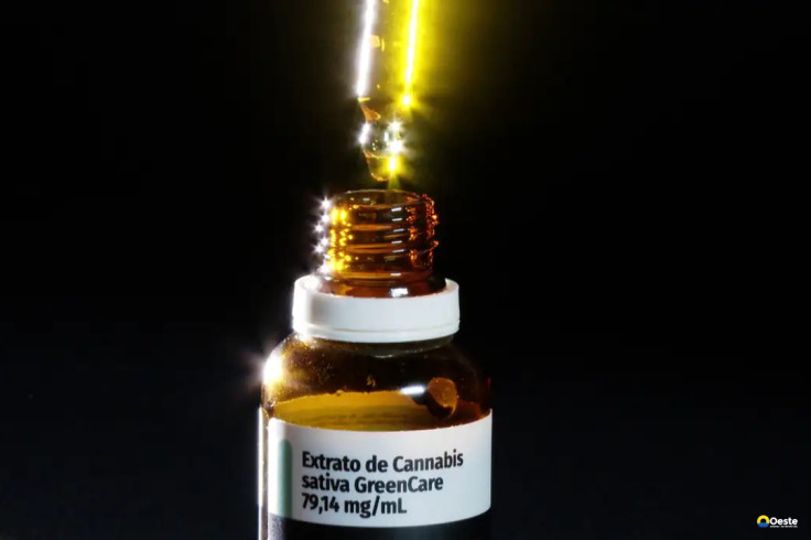 Autorizações para importação de cannabis aumentam 29% em 2026