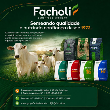 Facholi - fixa