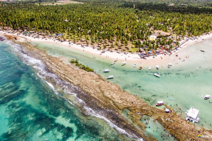 Barulho de barco e de turistas afeta comunicação de peixes, diz estudo