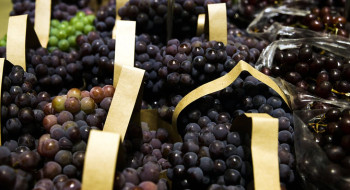 BNDES aprova R$ 1,2 bi para empresas afetadas pelo tarifaço