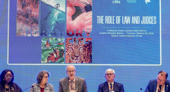 Bonito vai sediar a primeira vara ambiental com foco no Pantanal