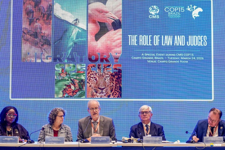 Bonito vai sediar a primeira vara ambiental com foco no Pantanal