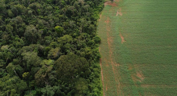 Brasil apresenta soluções de financiamento climático em Nova York