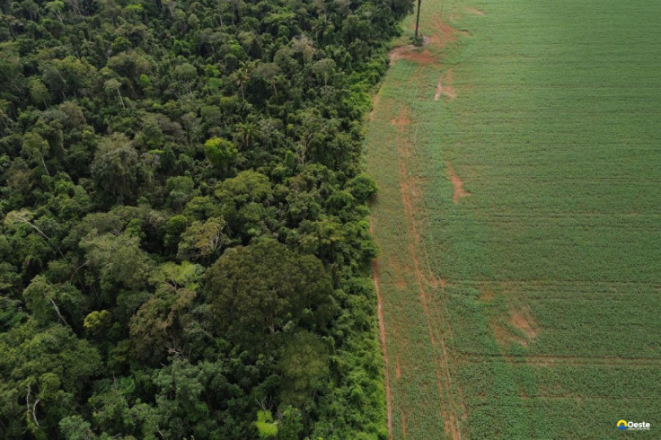 Brasil apresenta soluções de financiamento climático em Nova York