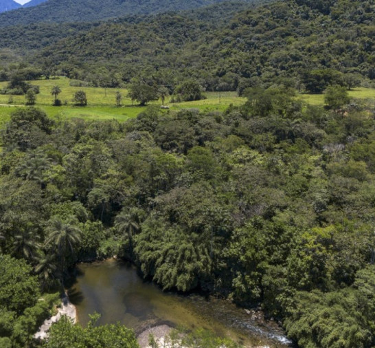 Brasil diminui em 43% área de vegetação nativa fragmentada