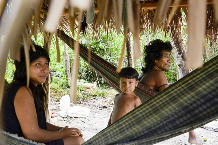 Brasil lidera número de povos isolados, mas há lacunas na proteção
