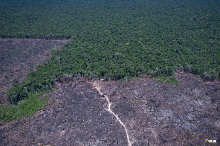 Brasil pode antecipar para 2040 a neutralidade de emissões de CO2