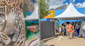 Brasil sedia encontro mundial sobre proteção de espécies migratórias