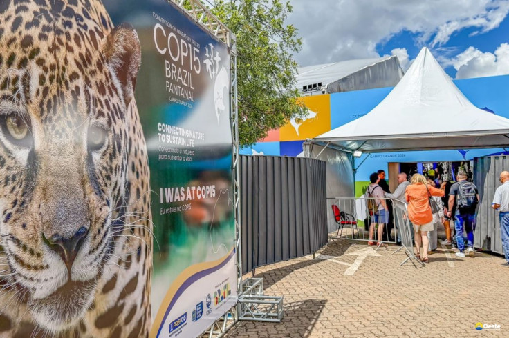 Brasil sedia encontro mundial sobre proteção de espécies migratórias