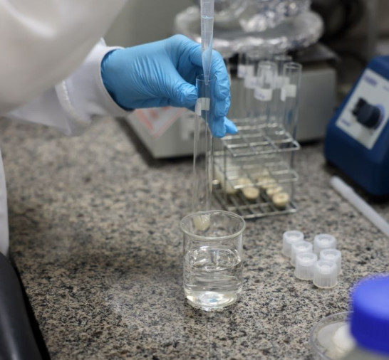 Brasil tem estratégia para ciência, tecnologia e inovação até 2034