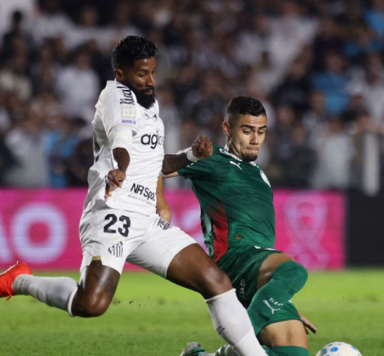 Brasileirão: Palmeiras fica no zero com o Santos e Flamengo agradece
