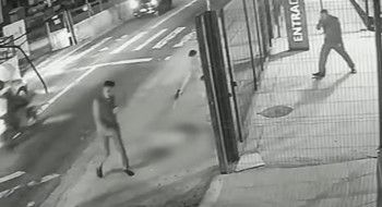 Cachorro é morto com dez tiros em frente a ponto de ônibus em SP