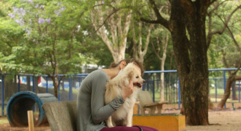 Cade aprova fusão entre Petz e Cobasi com restrições