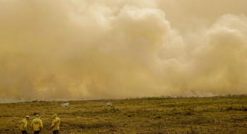 Calor já mata meio milhão de pessoas por ano, alertam cientistas