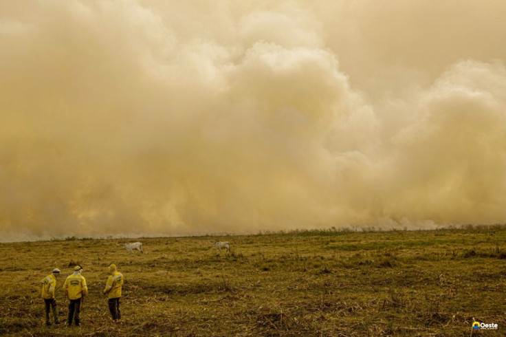 Calor já mata meio milhão de pessoas por ano, alertam cientistas