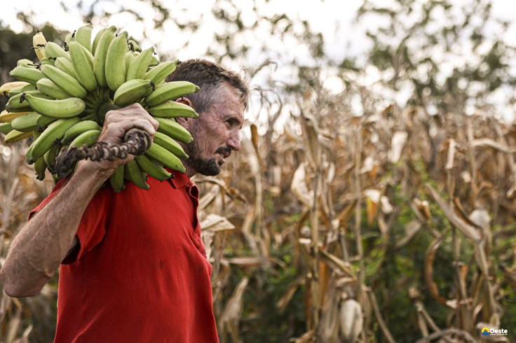 Câmara aprova uso de recursos do FGO em operações do Pronaf