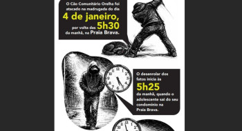 Cão Orelha: Polícia usa imagens e dados de celular para desvendar caso