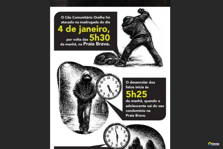 Cão Orelha: Polícia usa imagens e dados de celular para desvendar caso