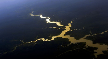 Captura de carbono na Amazônia está em risco, diz estudo