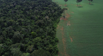 Caravana social vai à COP30 denunciar megaprojetos do agronegócio