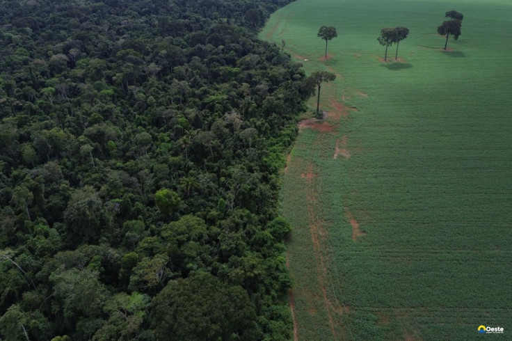 Caravana social vai à COP30 denunciar megaprojetos do agronegócio