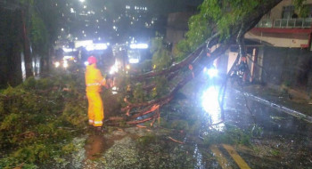 Ciclone deixa 2 milhões de clientes sem energia em São Paulo