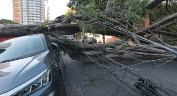 Cinco dias após ciclone, 30 mil clientes estão sem energia em SP