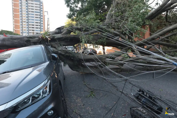 Cinco dias após ciclone, 30 mil clientes estão sem energia em SP