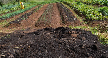 CMN amplia socorro a produtores afetados pelo clima