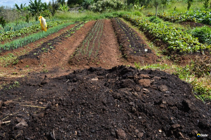 CMN amplia socorro a produtores afetados pelo clima