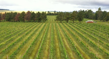 CMN restringe linha especial de R$ 12 bilhões a produtores do RS