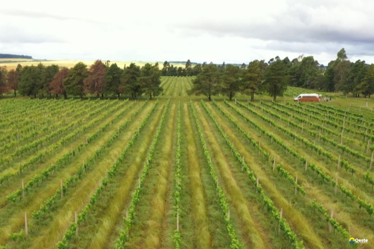 CMN restringe linha especial de R$ 12 bilhões a produtores do RS