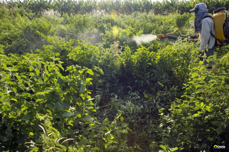 Comitê lista ações prioritárias para Programa de Redução de Agrotóxico