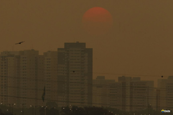 Concentração de gases do efeito estufa atingem níveis recordes
