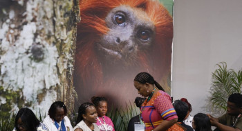 COP30: financiamento, transição e adaptação são centro das negociações