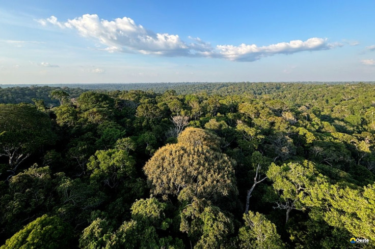 COP30: o que é, quando acontece e o que será discutido em Belém