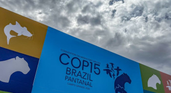 Cúpula de líderes orienta debates para COP15 em Campo Grande