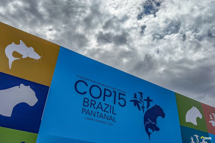 Cúpula de líderes orienta debates para COP15 em Campo Grande
