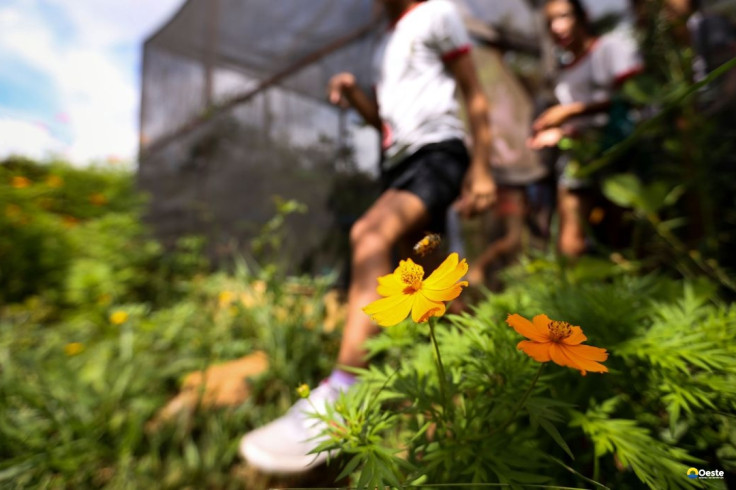 Dia da Educação Ambiental destaca iniciativas de conscientização
