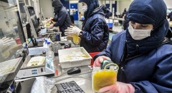 Dia Mundial da Hemofilia: campanha reforça importância do diagnóstico