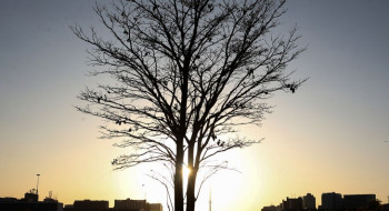 Duas pesquisadoras da Uerj participam do seleto grupo do IPCC da ONU