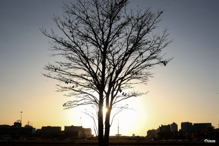Duas pesquisadoras da Uerj participam do seleto grupo do IPCC da ONU